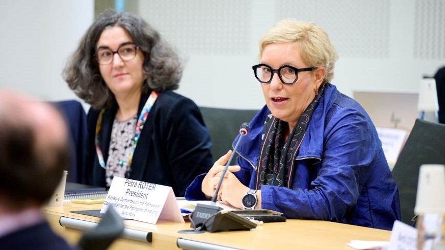 In 2025, the President of the Advisory Committee (Petra Roter) met with the Secretary General of the Council of Europe